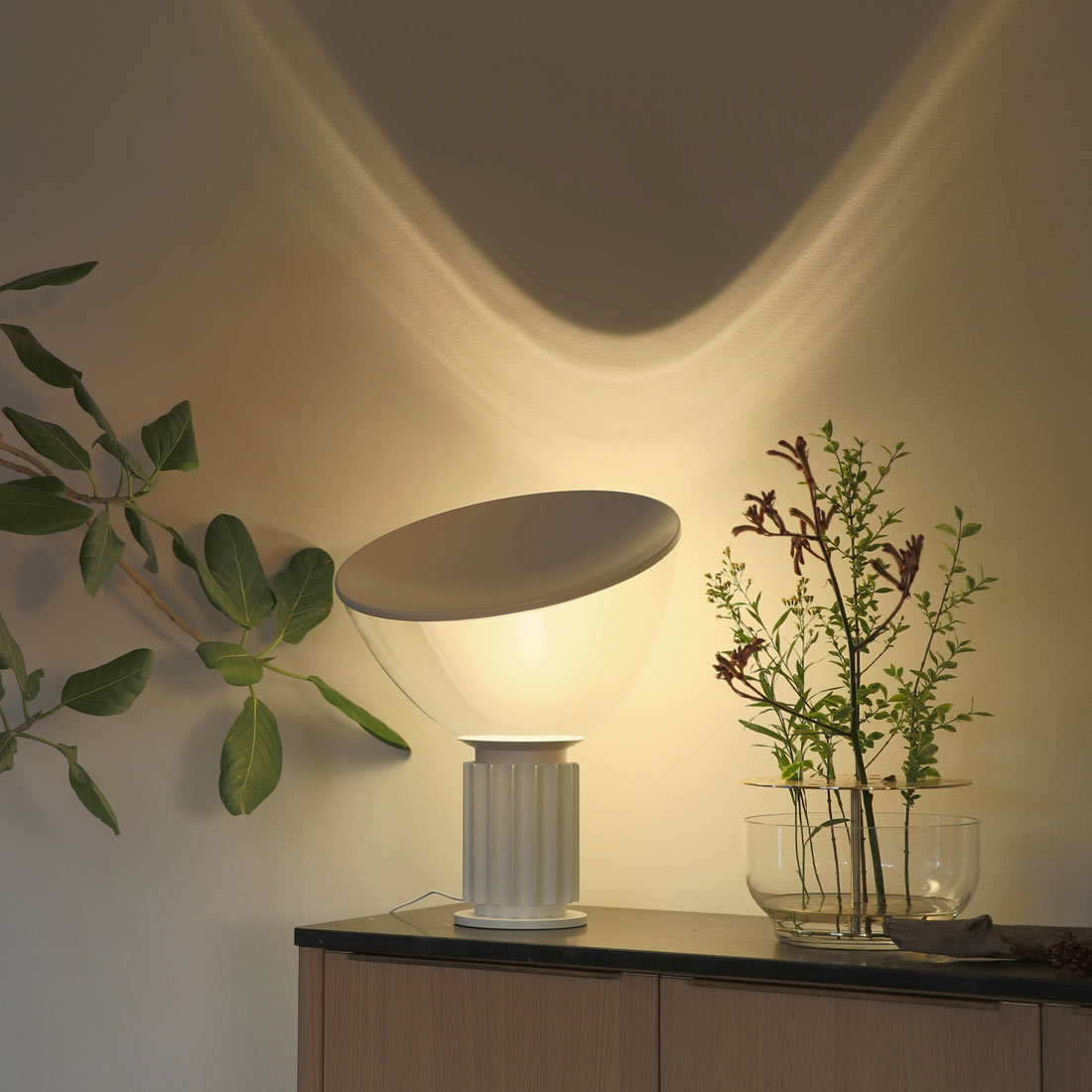 100ベーシックスインテリア特別企画