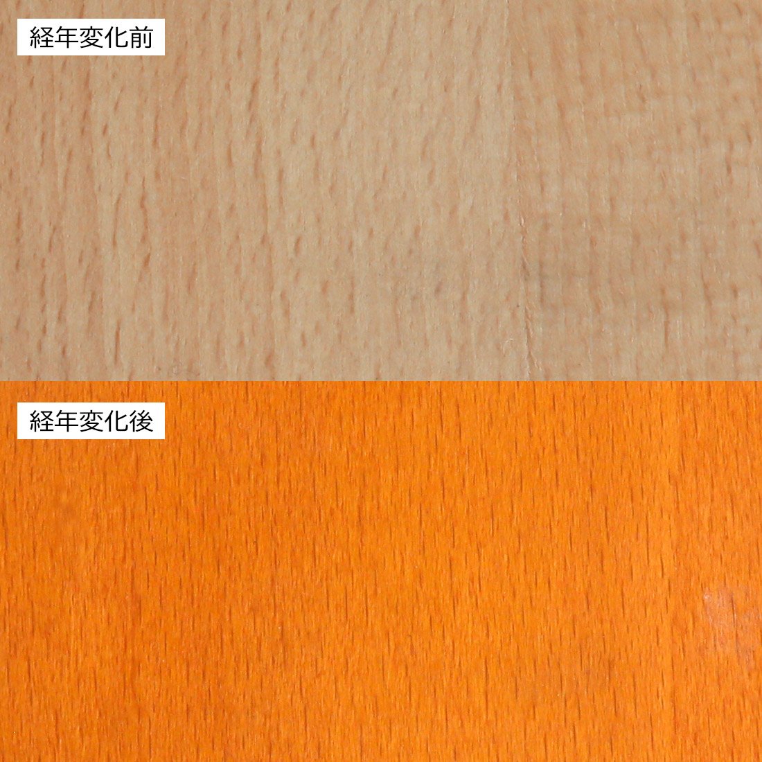 世界中で愛される
CARL HANSEN & SONのベストセラーCH24「Yチェア」