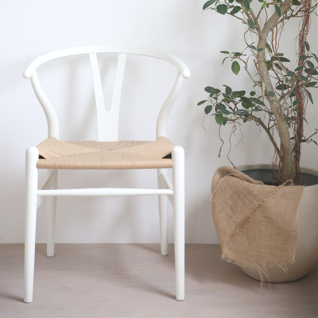 やさしい色と、やわらかな質感、マットカラーCH24SOFT