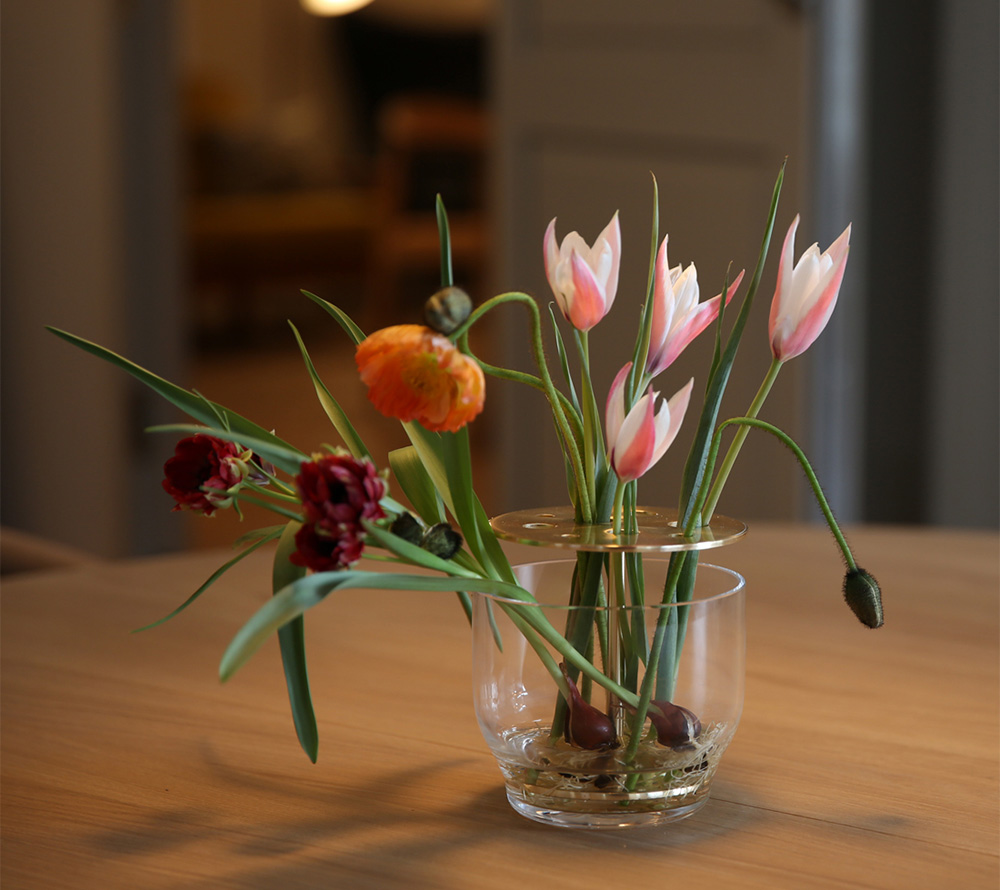 フリッツハンセン