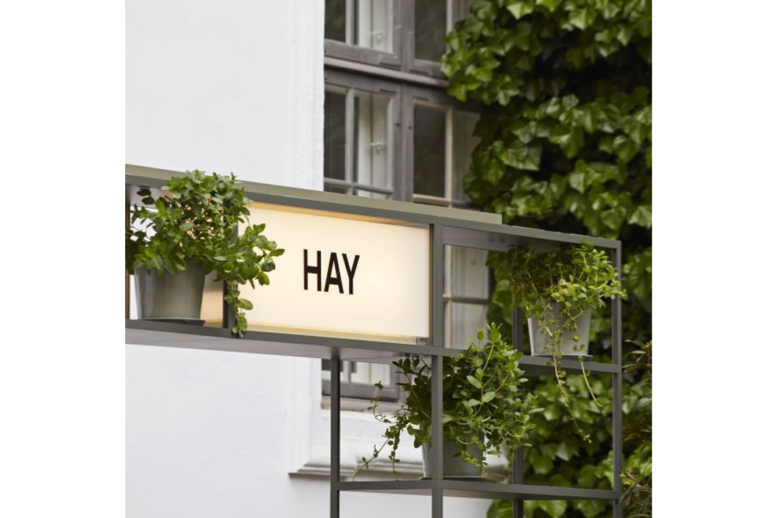 HAY