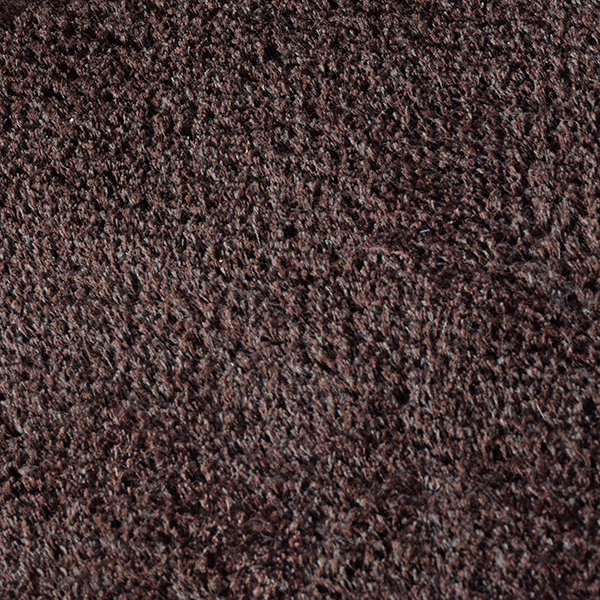 Raisin 702