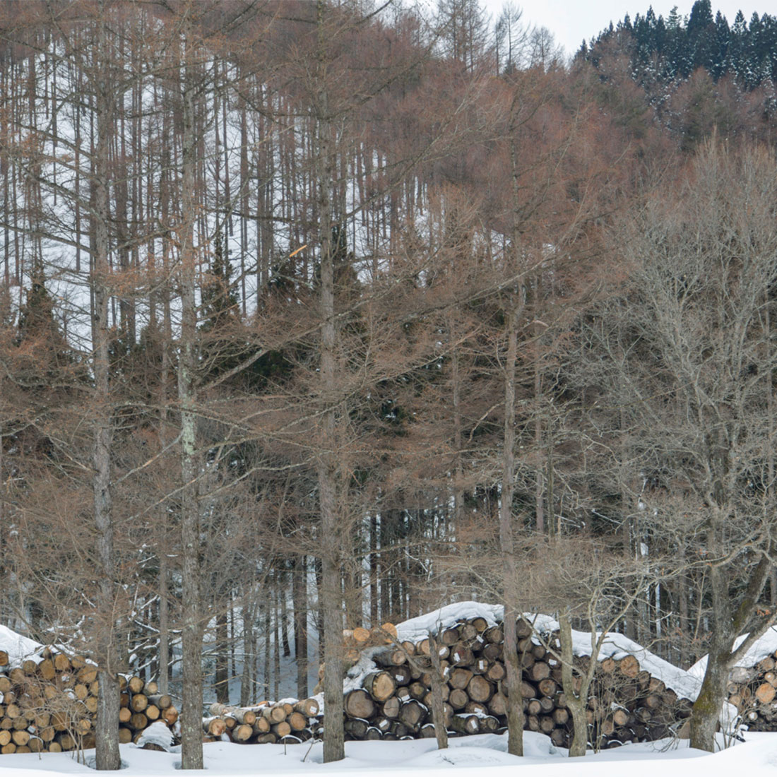 トリイスツール