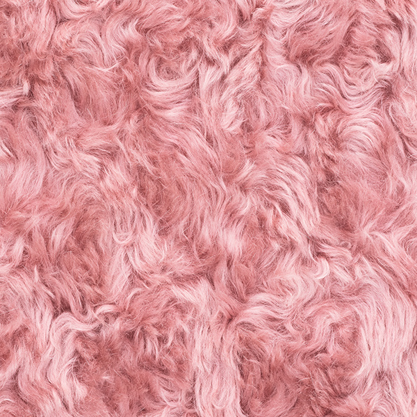 アルゴ0633の生地