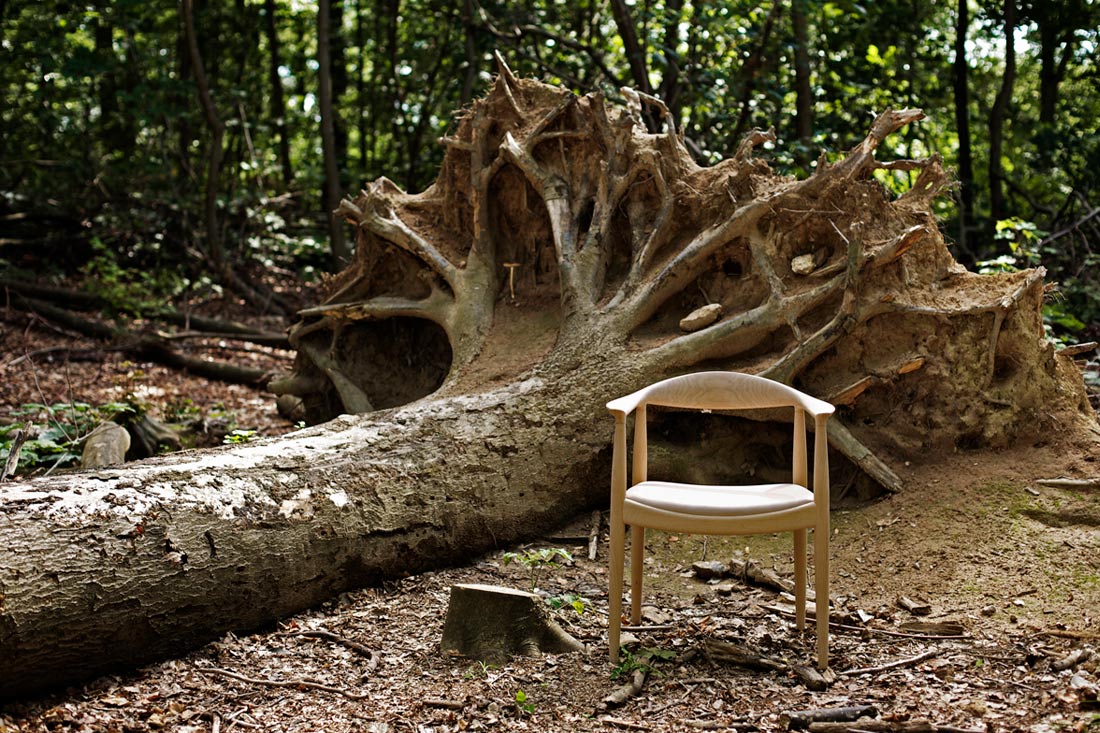 椅子の中の椅子 ザ・チェア PP503