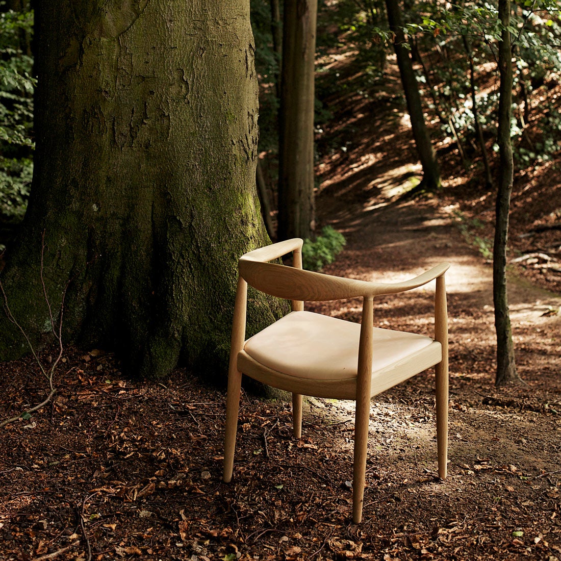 椅子の中の椅子 ザ・チェア PP503