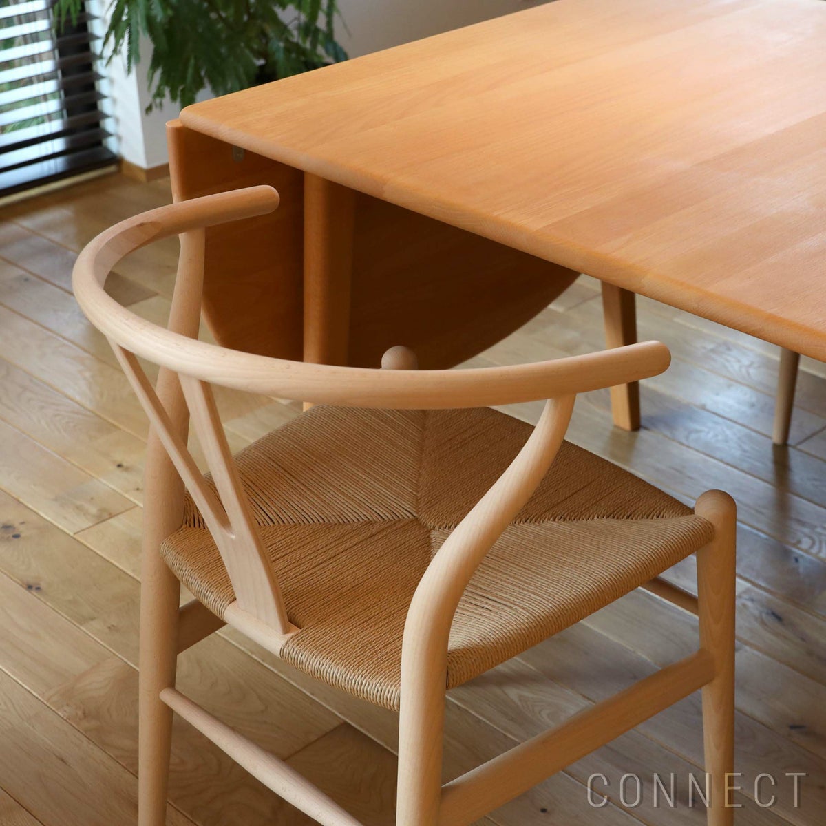 CARL HANSEN & SON （カール・ハンセン＆サン） / CH24 / Yチェア（ワイチェア） ビーチ材・ソープ仕上げ SH45cm