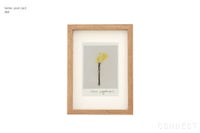 山口一郎 ポストカード　060