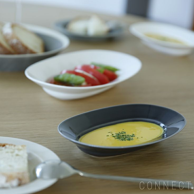 yumiko iihoshi porcelain（イイホシユミコ） / Oval plate S