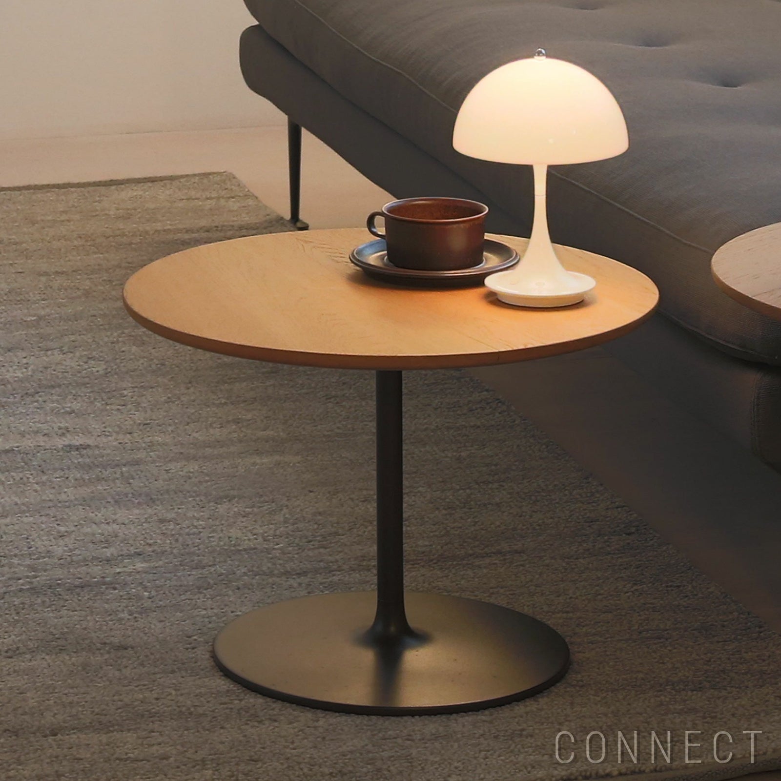 Occasional Low Table(オケージョナルローテーブル) | CONNECT