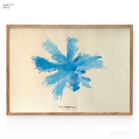 山口一郎 / LLサイズ / 青No.1 / iy-pic-ll-17