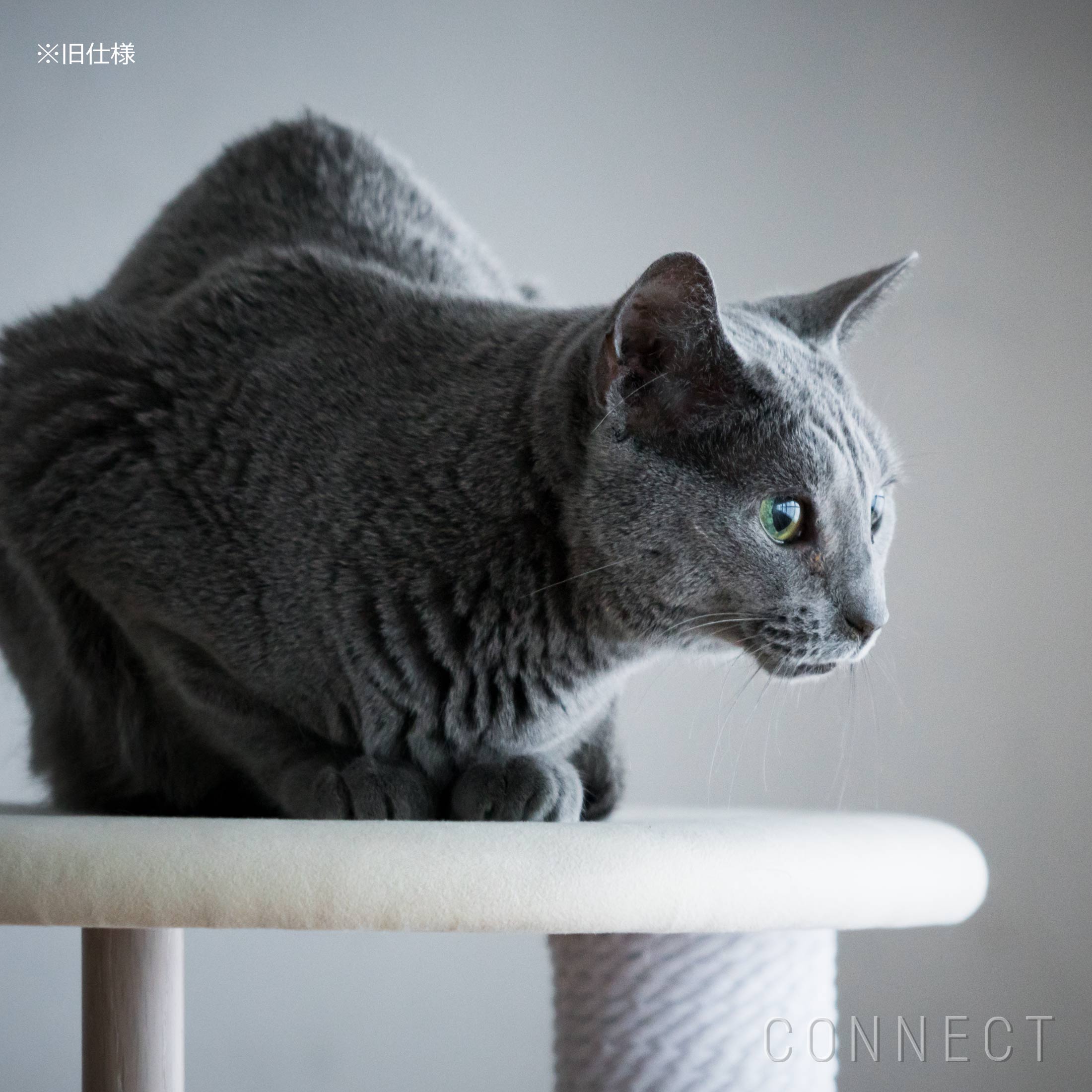 決算キャンペーンpt10倍】KARIMOKU CAT TREE（カリモクキャット ツリー