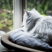 KARIMOKU CAT BED（カリモクキャット ベッド） / 全3色