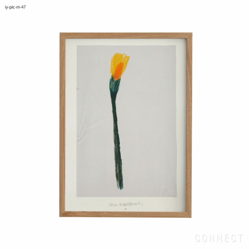 山口一郎 / Mサイズ / 花 / iy-pic-m-47