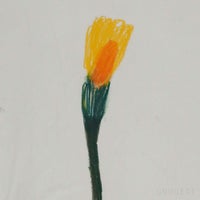 山口一郎 / Mサイズ / 花 / iy-pic-m-47