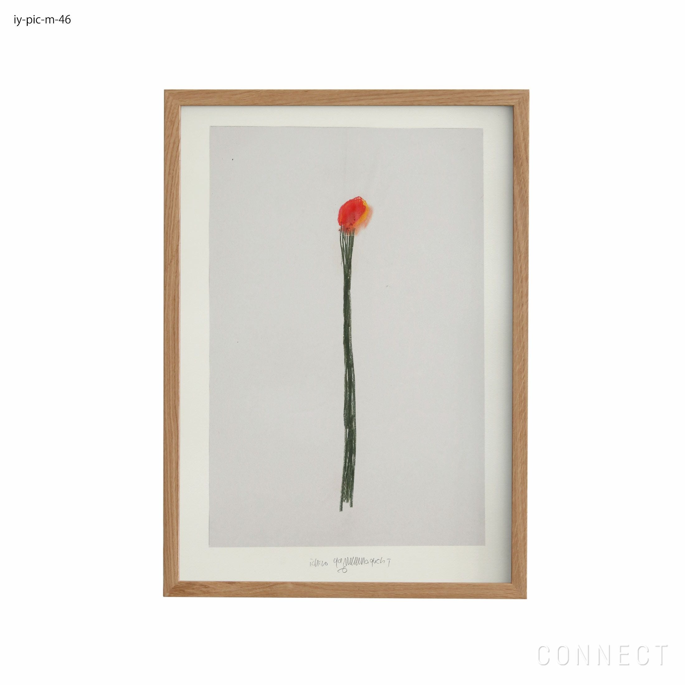 販売終了］山口一郎 / Sサイズ / 花 / iy-pic-s-83 | CONNECT