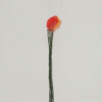 山口一郎 / Mサイズ / 花 / iy-pic-m-46