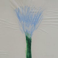 山口一郎 / Lサイズ / 花 / iy-pic-l-35