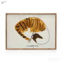 山口一郎 / Lサイズ / 猫 / iy-pic-l-58