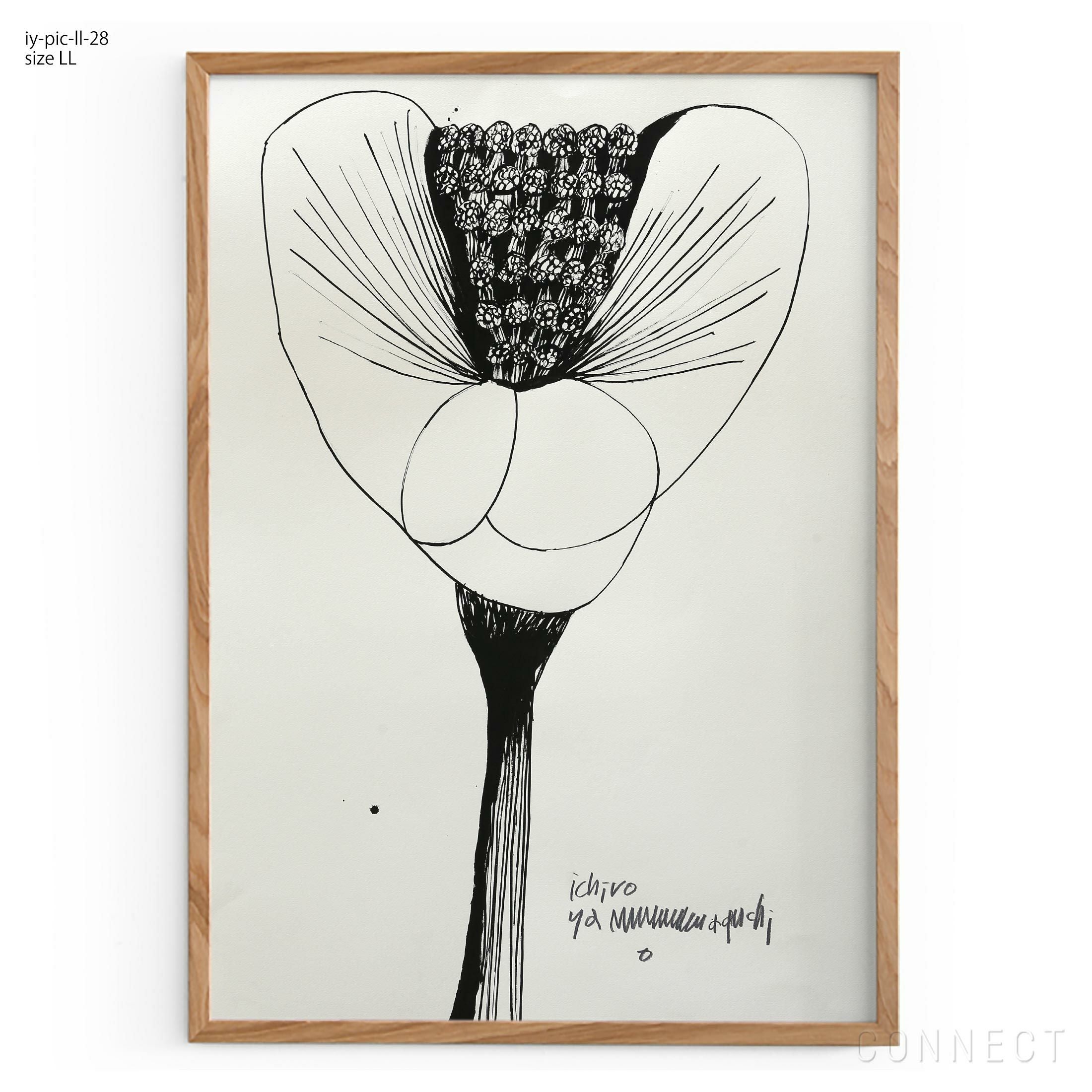 販売終了］山口一郎 / LLサイズ / 林檎 / iy-pic-ll-13 | CONNECT