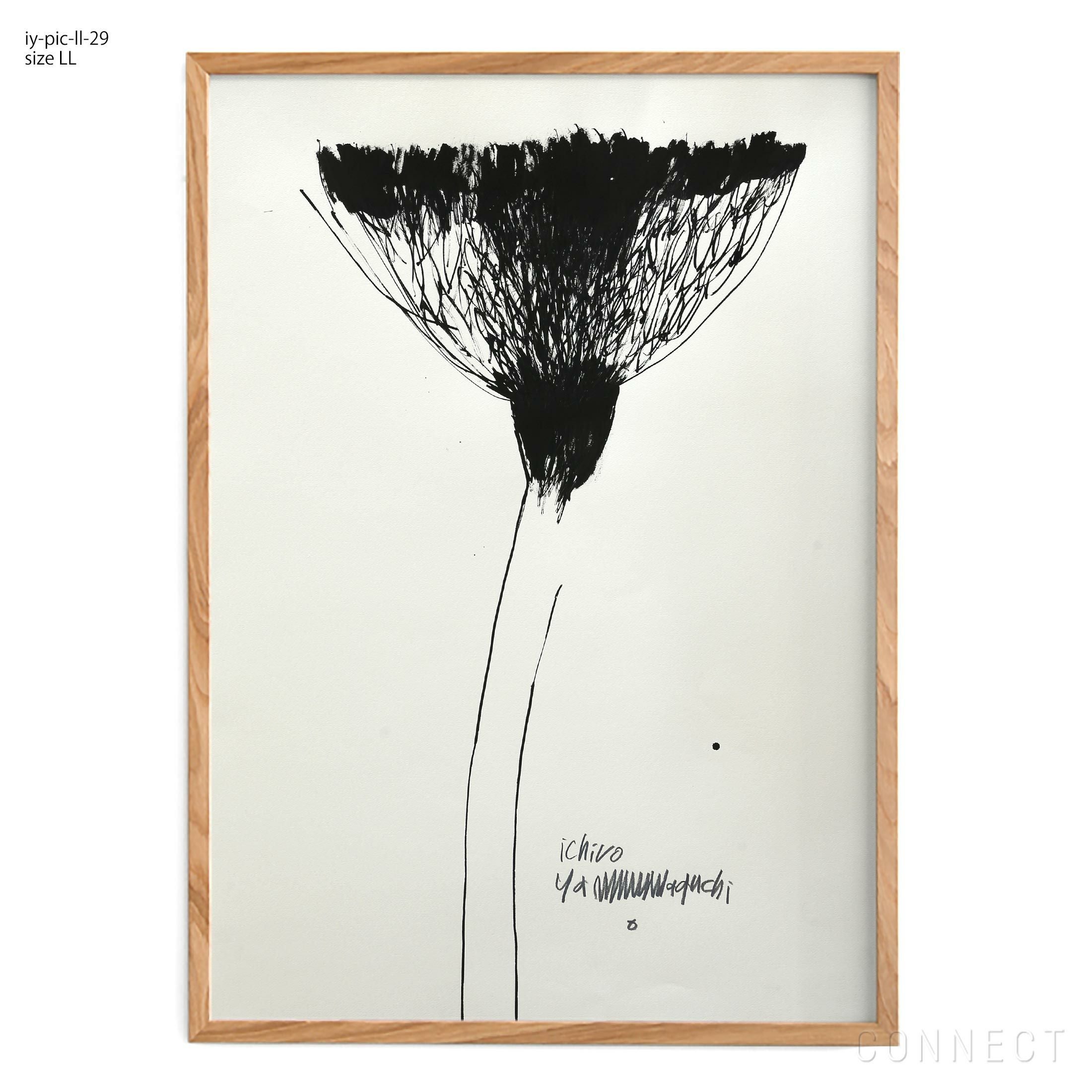 販売終了］山口一郎 / LLサイズ / 花 / iy-pic-ll-37 | CONNECT