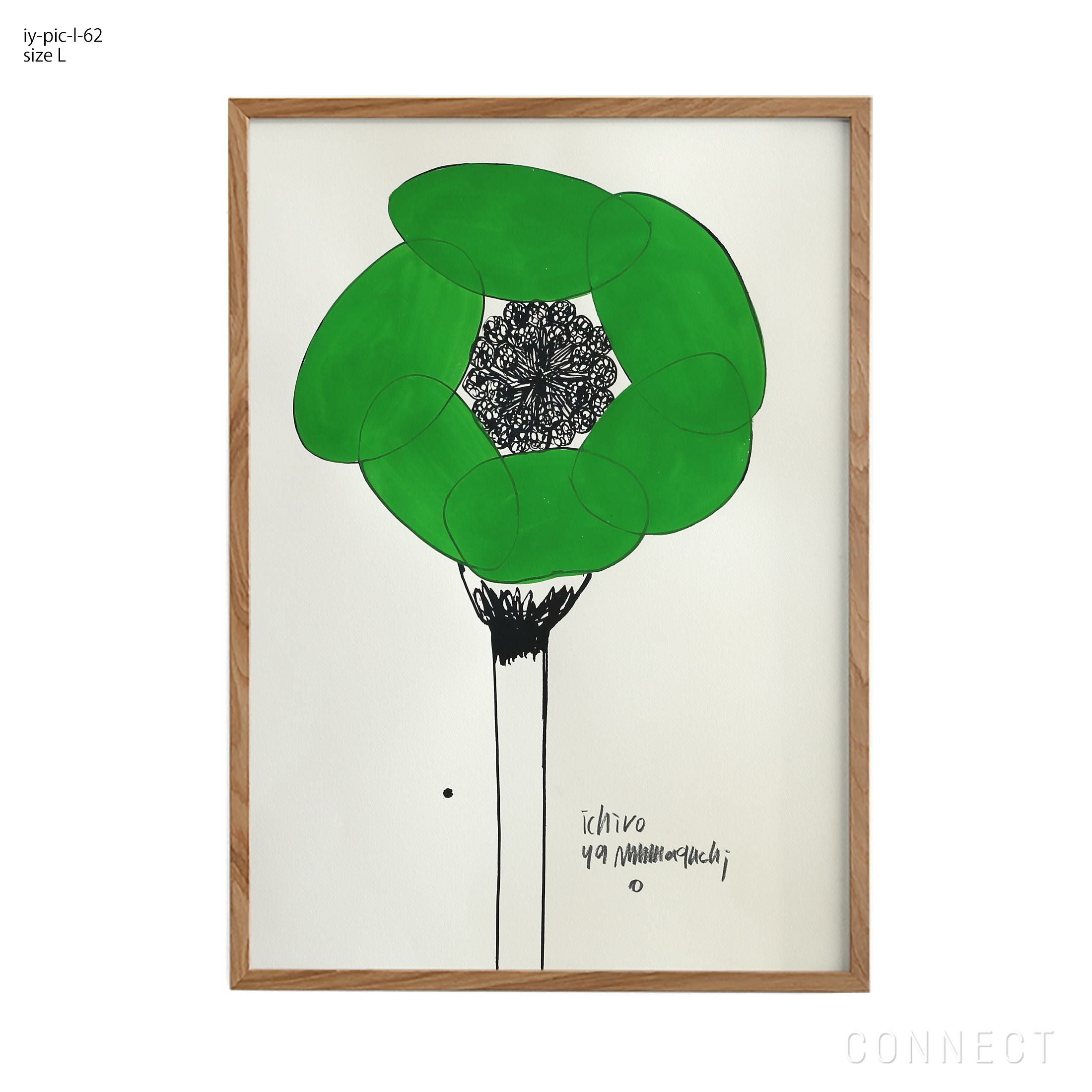販売終了］山口一郎 / Lサイズ / 花 / iy-pic-l-160 | CONNECT