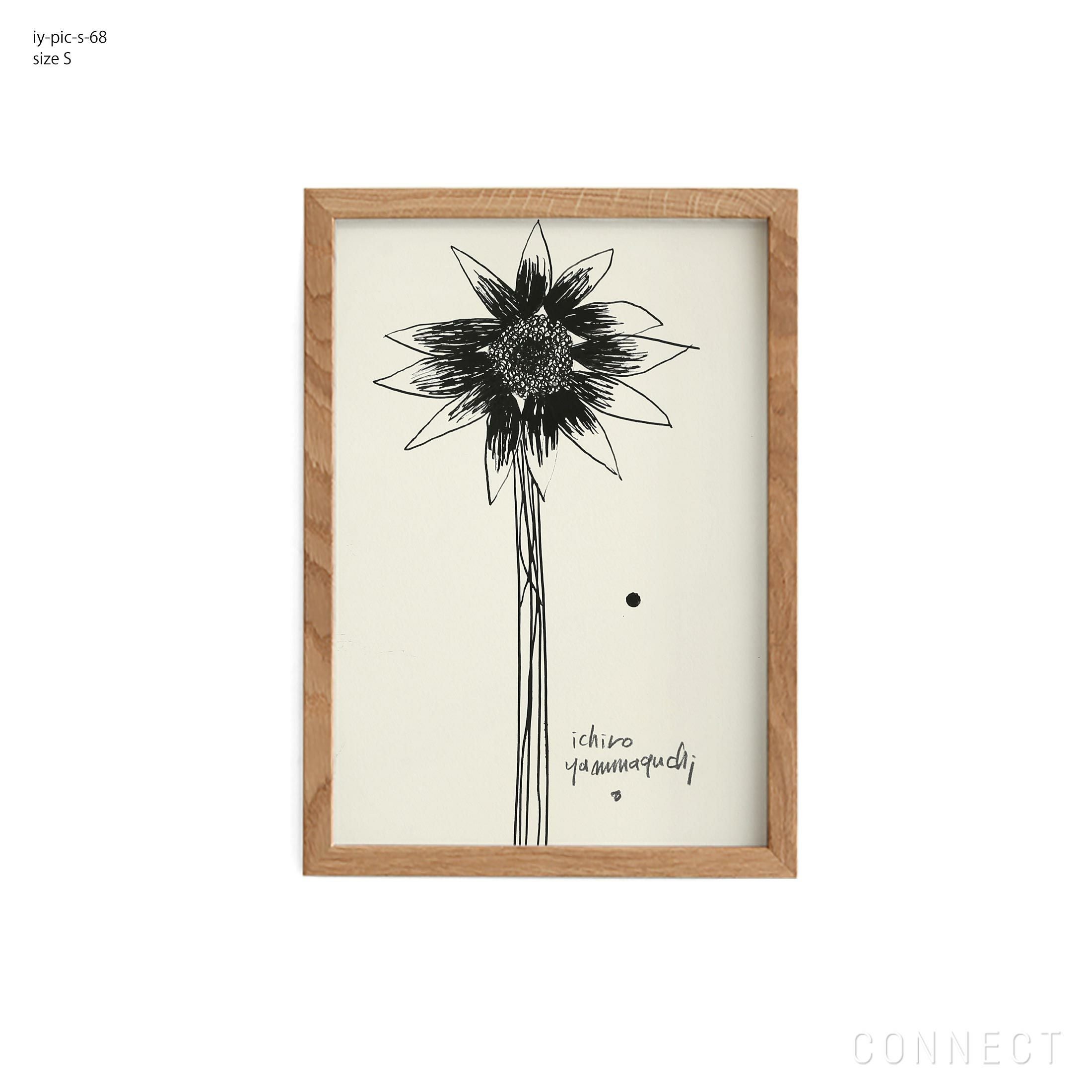 販売終了］山口一郎 / Mサイズ / すだちの花 / iy-pic-m-140 | CONNECT