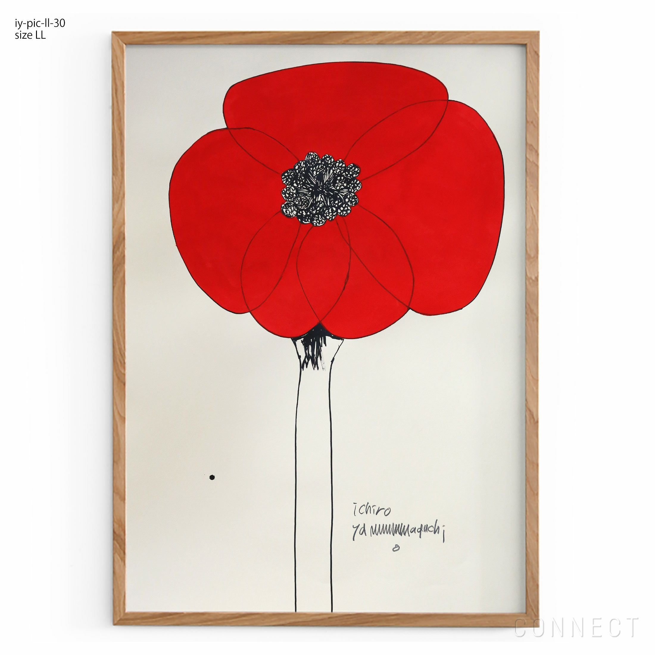 販売終了］山口一郎 / LLサイズ / 花 / iy-pic-ll-28 | CONNECT