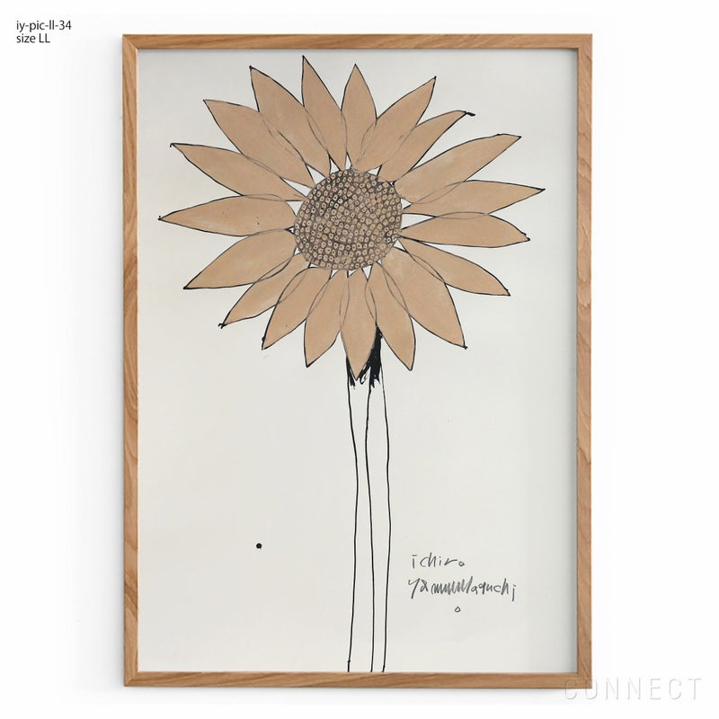 山口一郎 / LLサイズ / 花 / iy-pic-ll-34
