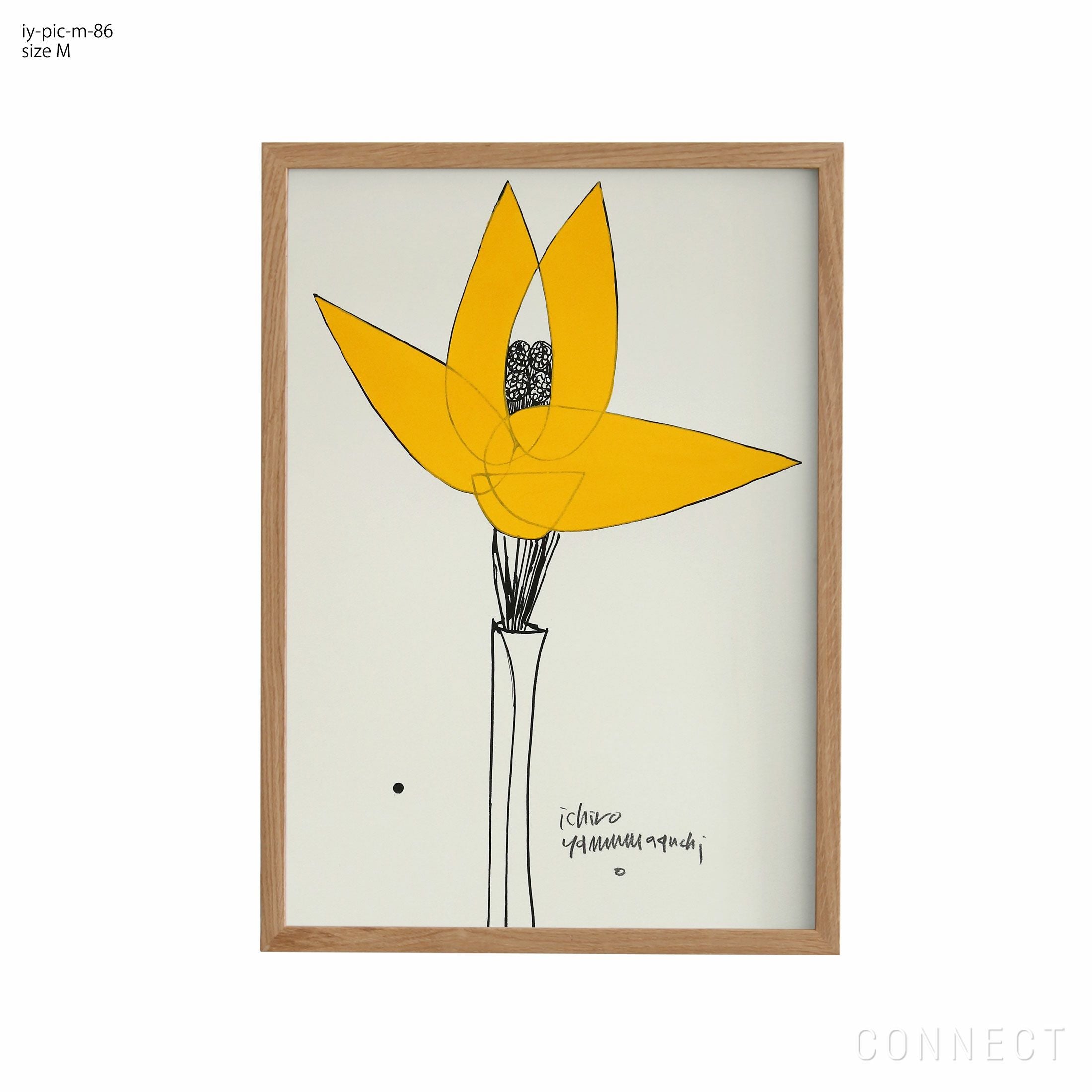 販売終了］山口一郎 / Mサイズ / 花 / iy-pic-m-71 | CONNECT