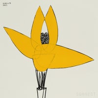 山口一郎 / Sサイズ / 花 / iy-pic-s-74