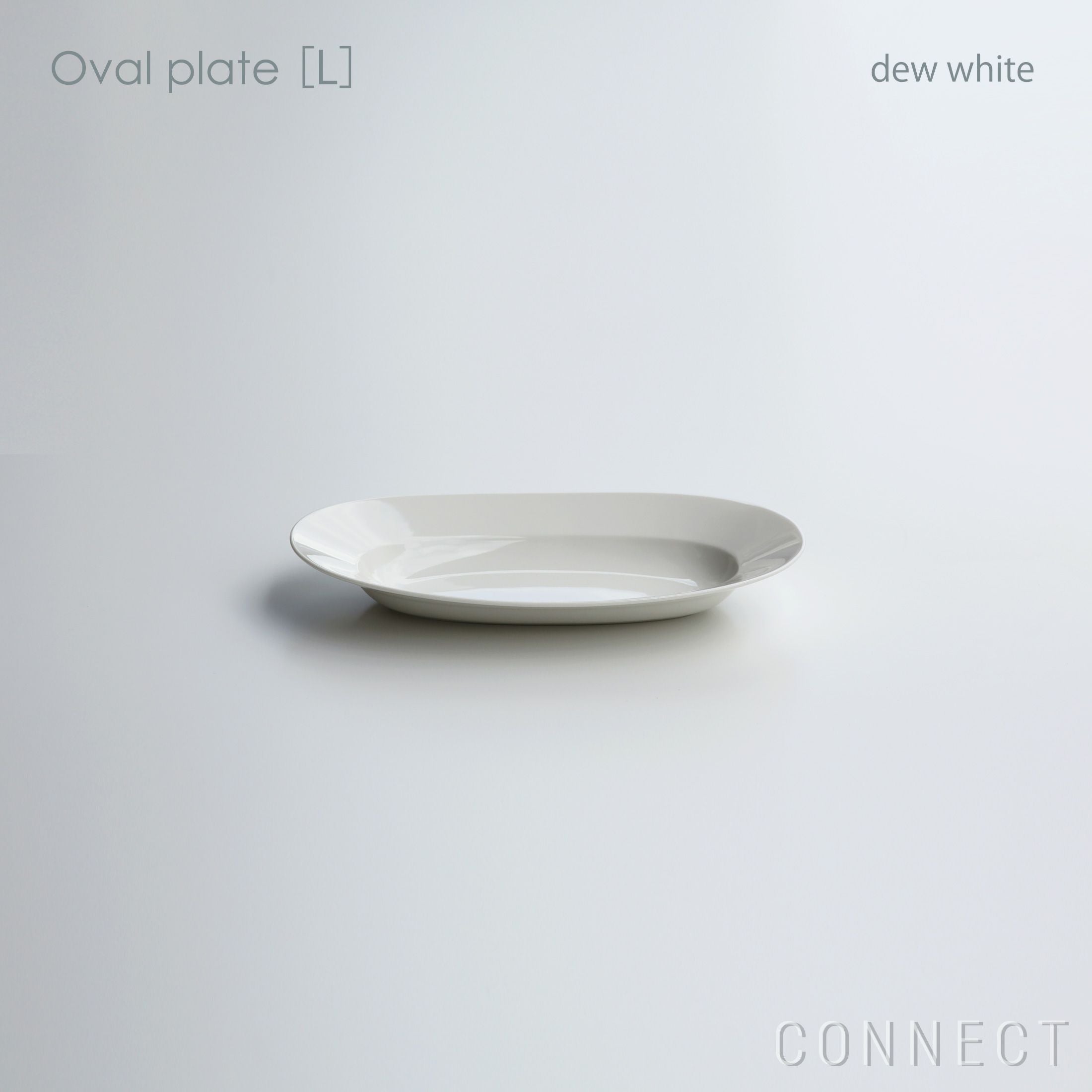 yumiko iihoshi porcelain（イイホシユミコ） / Oval plate L