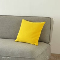 Kvadrat/Raf Simons（クヴァドラ/ラフ・シモンズ） / クッション45×45cm / Phlox（フロックス） / アクセサリー