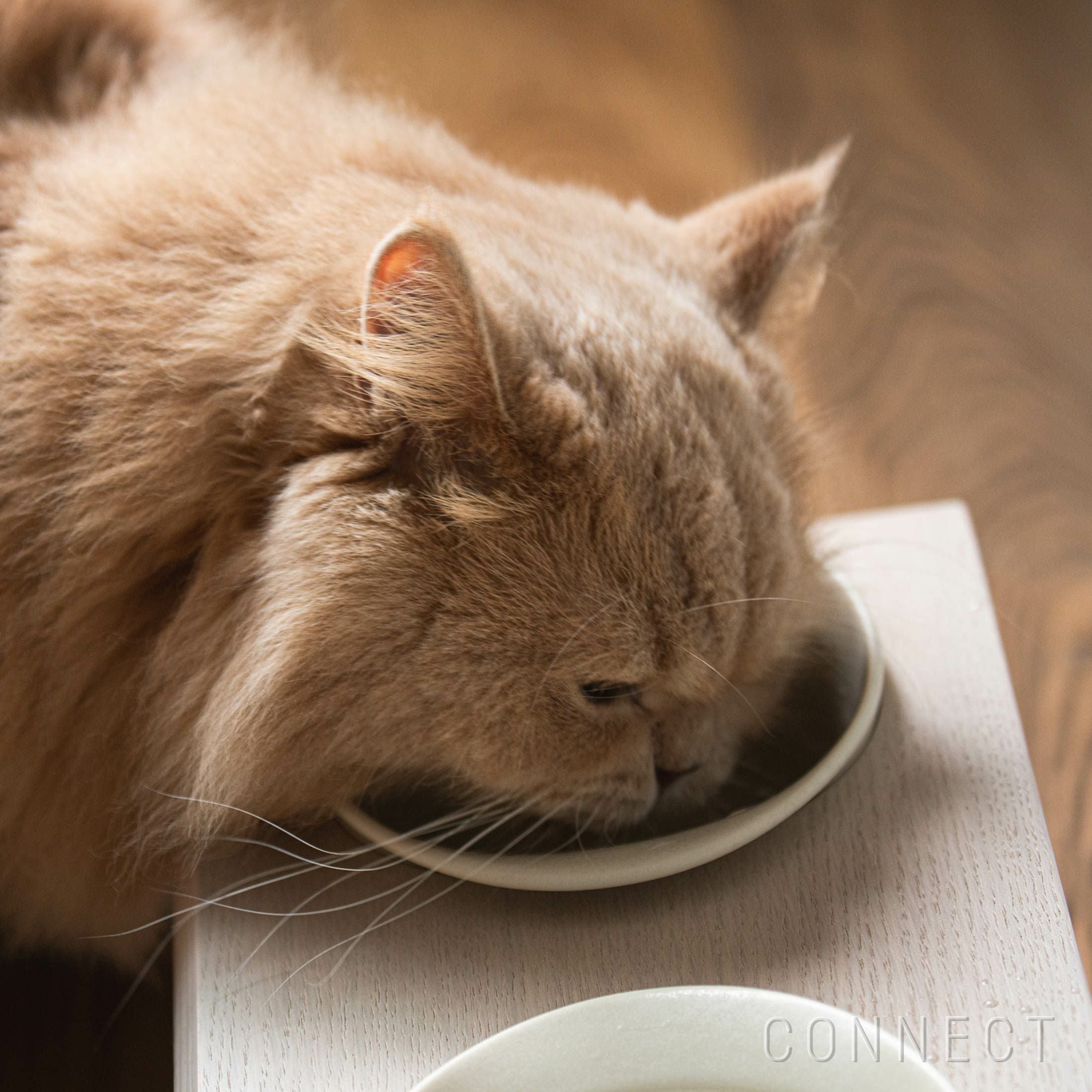 KARIMOKU CAT TABLE（カリモクキャット テーブル） / 食器台 / フード