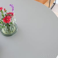 FRITZ HANSEN（フリッツ・ハンセン） / TABLE SERIES（テーブルシリーズ）A825 / 円テーブル / グレー / ブラウンブロンズ脚 / Ø120cm