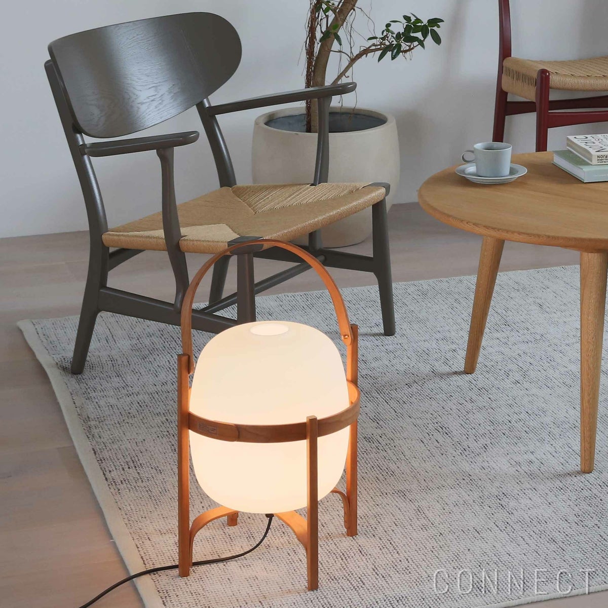 SANTA&COLE（サンタアンドコール） / CESTA（セスタ） / フロアランプ