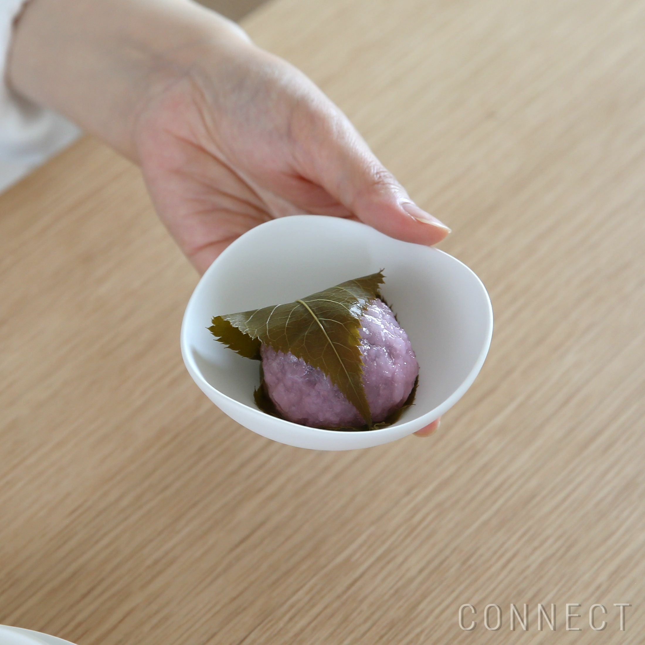 yumiko iihoshi porcelain（イイホシユミコ） / SHIONARI（シオナリ