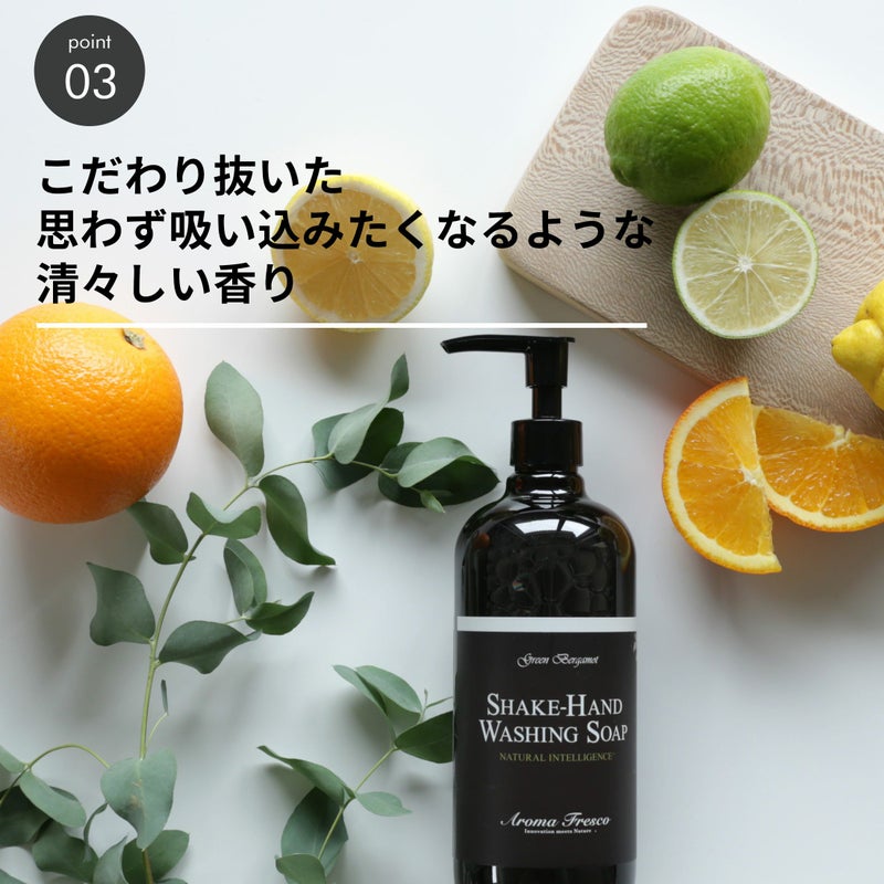 Aroma Fresco（アロマフレスコ） / キープクリーン＆セーフスプレー（キッチン・ダイニング用洗剤）480ml / グリーン・ベルガモット