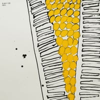 山口一郎 / Lサイズ / ミモザ / iy-pic-l-120