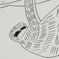 山口一郎 / Lサイズ / ナマケモノ / iy-pic-l-131