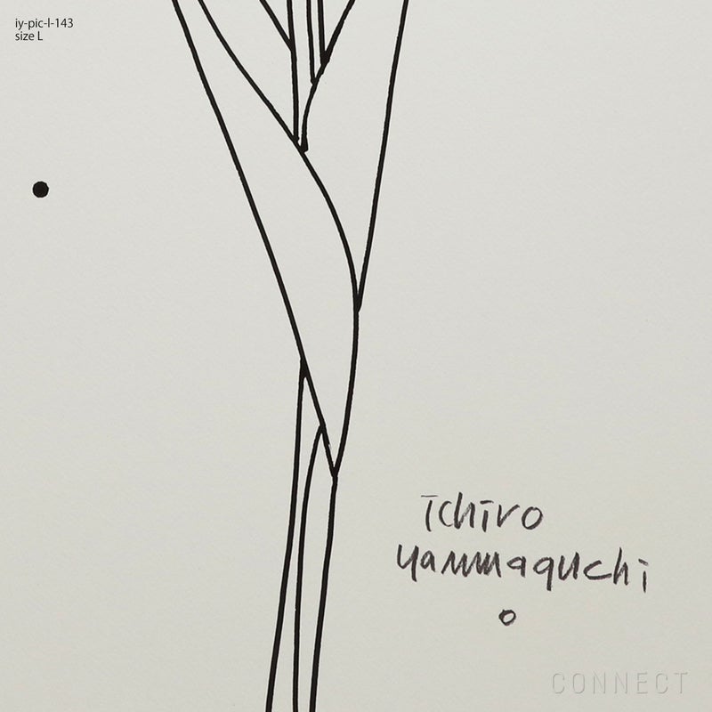 山口一郎 / Lサイズ / チューリップ / iy-pic-l-143