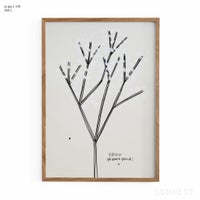 山口一郎 / Lサイズ / かすみ草 / iy-pic-l-145