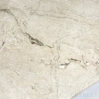 FRITZ HANSEN（フリッツ・ハンセン） / PK61（コーヒーテーブル） / 大理石（ベージュ140）