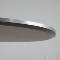 FRITZ HANSEN（フリッツ・ハンセン） / TABLE SERIES（テーブルシリーズ）A603 / スーパー円テーブル / グレー / クローム脚 / Φ100cm