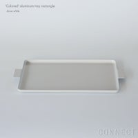 yumiko iihoshi porcelain （イイホシユミコ） / 'Colored' aluminum tray（カラード アルミニウム トレ－） / レクタングル
