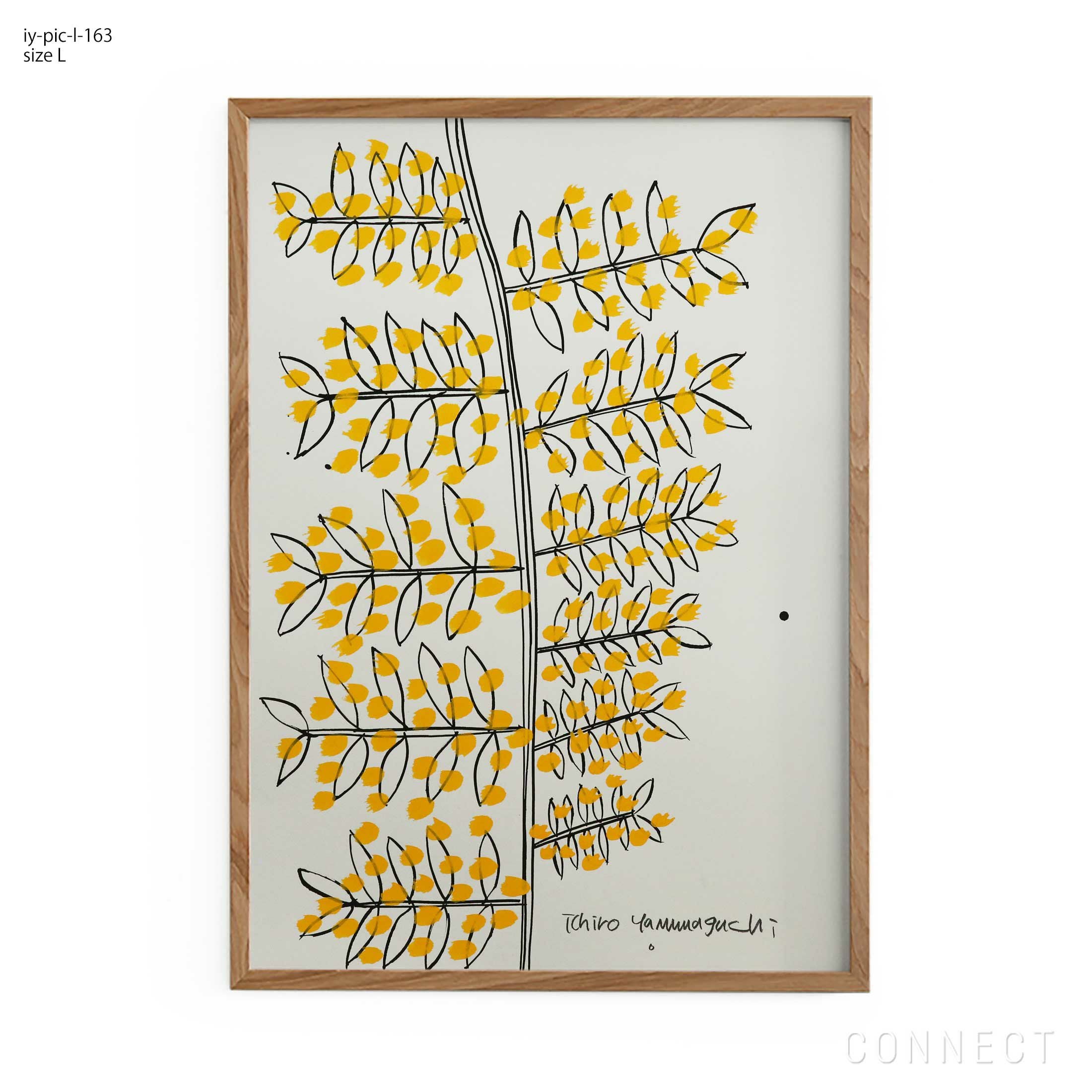 販売終了］山口一郎 / Lサイズ / ミモザ / iy-pic-l-120 | CONNECT