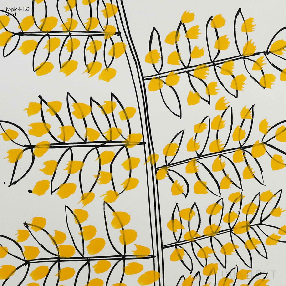 山口一郎 / Lサイズ / ミモザ / iy-pic-l-163