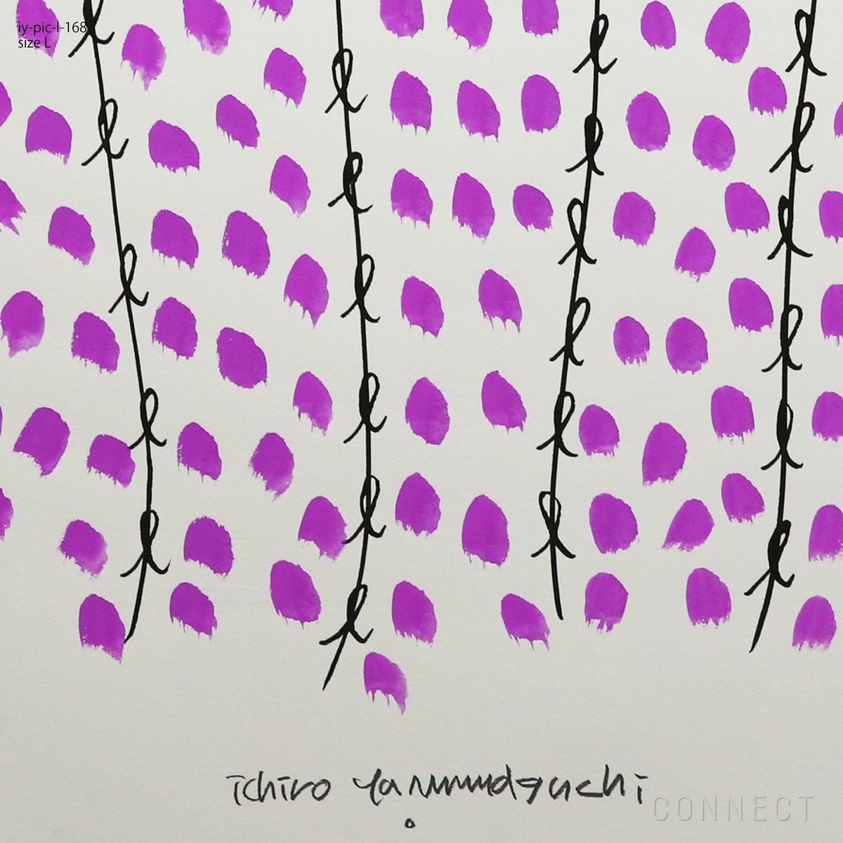 山口一郎 / Lサイズ / 藤 / iy-pic-l-168