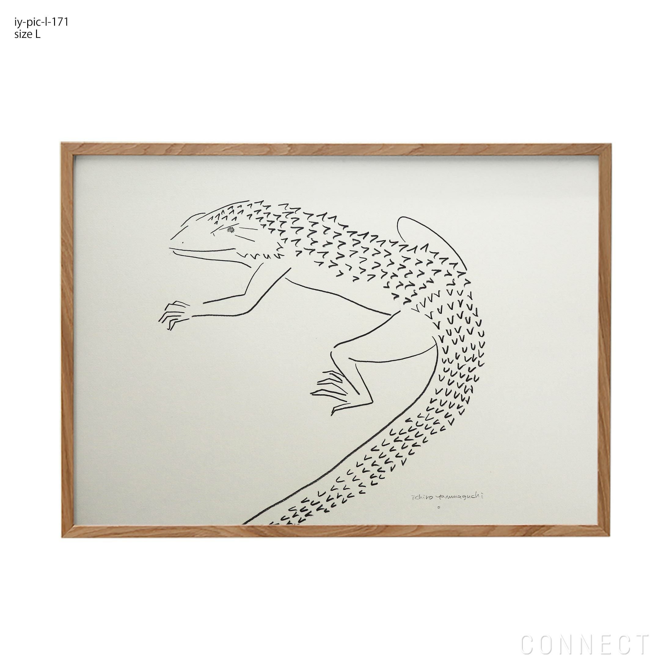 販売終了］山口一郎 / Lサイズ / ミモザ / iy-pic-l-120 | CONNECT