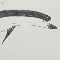 山口一郎 / Lサイズ / イルカ / iy-pic-l-177